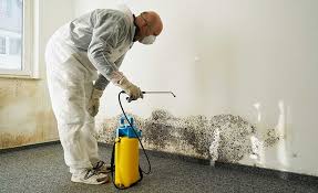 Mold Remediation for Rental Properties in Waterville, OH